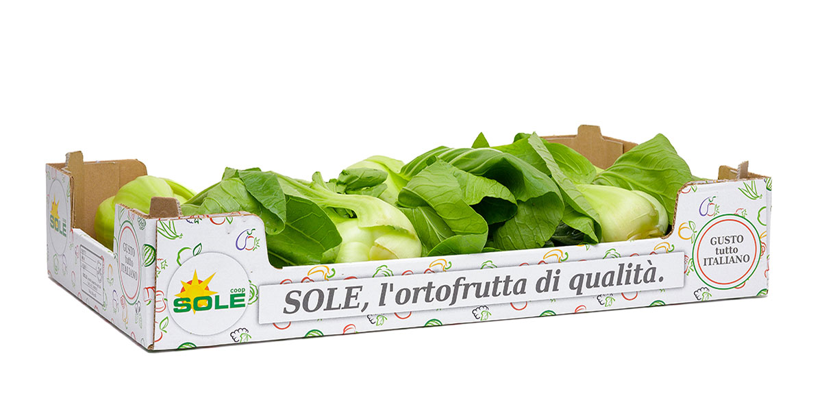 Ortaggi invernali, cresciamo con biologico e prodotti innovativi